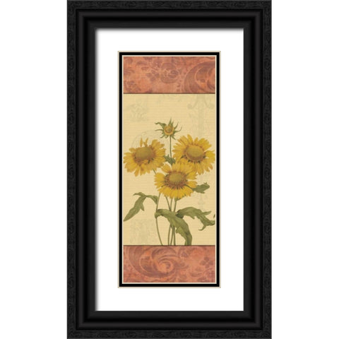 Utica Black Ornate Wood Framed Art Print with Double Matting by Pazan, Tony