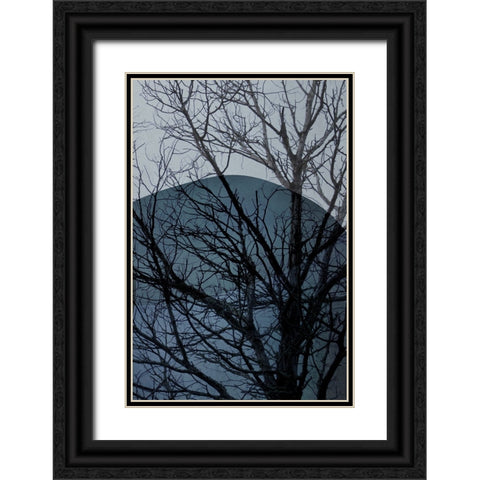 Blue Tree 2 Black Ornate Wood Framed Art Print with Double Matting by Urban Epiphany