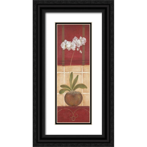 Window Wonders I Black Ornate Wood Framed Art Print with Double Matting by Tava Studios