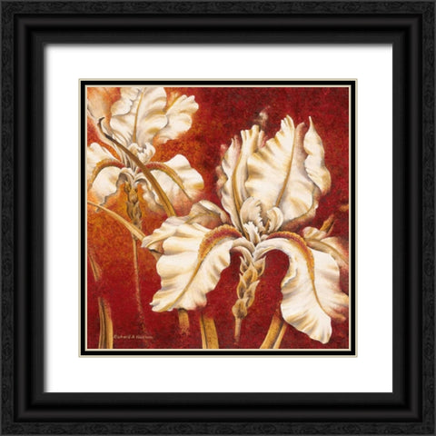 White Iris Black Ornate Wood Framed Art Print with Double Matting by Henson, Richard
