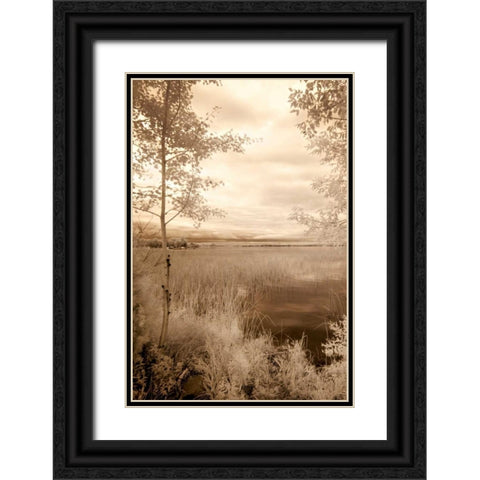Peaceful Morning I Black Ornate Wood Framed Art Print with Double Matting by Nagler, Monte