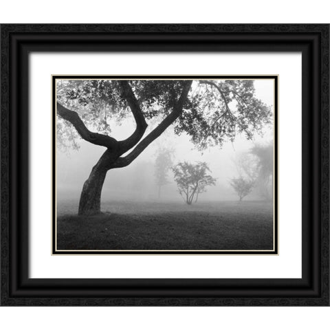 Into the Mist Black Ornate Wood Framed Art Print with Double Matting by Nagler, Monte