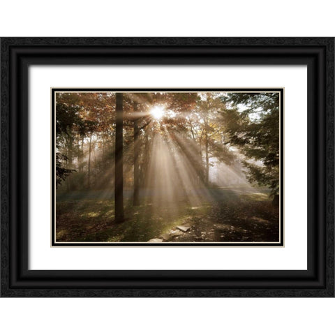 A New Day I Black Ornate Wood Framed Art Print with Double Matting by Dahlgren, Ann
