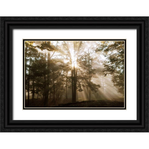 A New Day II Black Ornate Wood Framed Art Print with Double Matting by Dahlgren, Ann