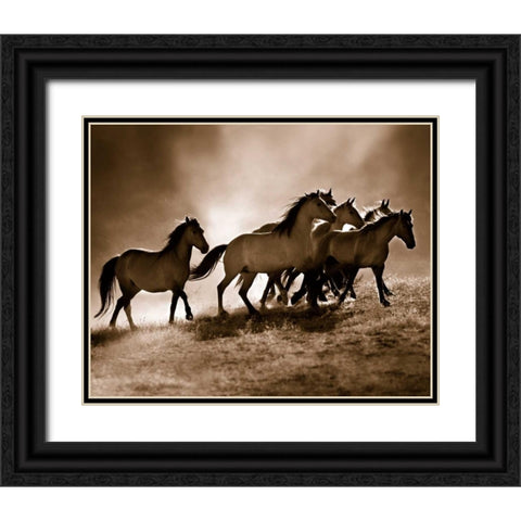 Wild Horses Black Ornate Wood Framed Art Print with Double Matting by Dearing, Lisa