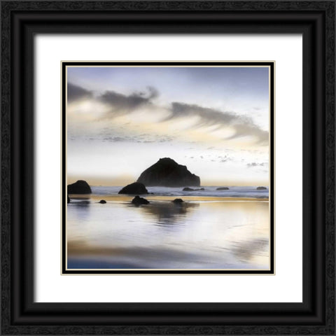 Twilight on the Coastline Black Ornate Wood Framed Art Print with Double Matting by Delimont, Danita