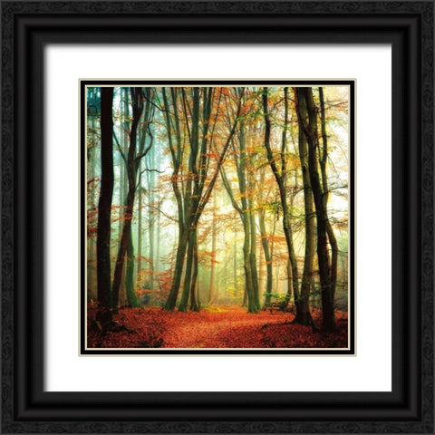 Colorfall Black Ornate Wood Framed Art Print with Double Matting by Van De Goor, Lars