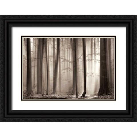 The Cloaking Black Ornate Wood Framed Art Print with Double Matting by Van De Goor, Lars