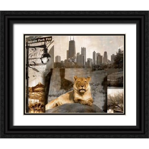 Lincoln Park Zoo Black Ornate Wood Framed Art Print with Double Matting by Donovan, Kelly