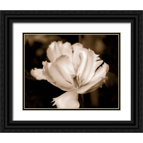 Veronicas Garden II Black Ornate Wood Framed Art Print with Double Matting by Donovan, Kelly