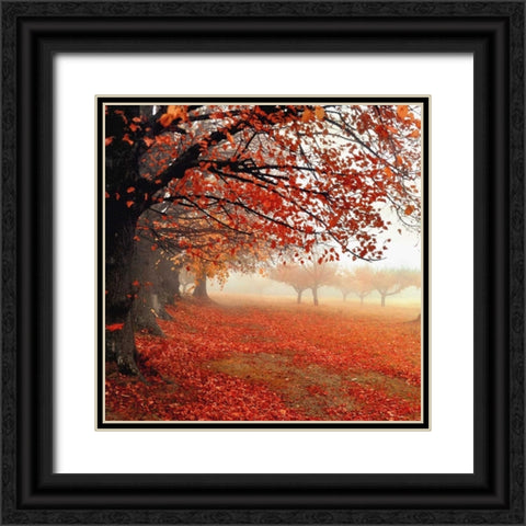 All For Show Black Ornate Wood Framed Art Print with Double Matting by Weisz, Irene