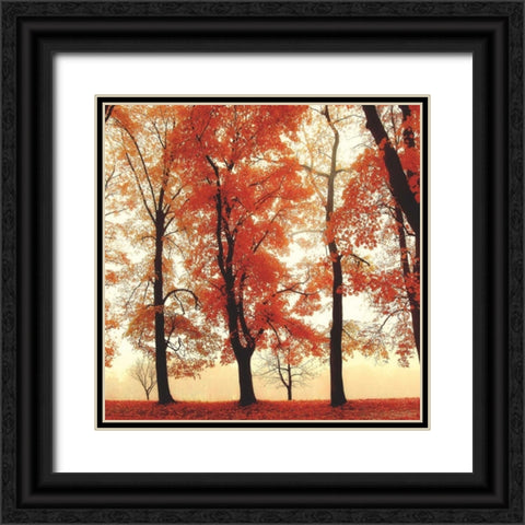 Coral Woods Black Ornate Wood Framed Art Print with Double Matting by Weisz, Irene