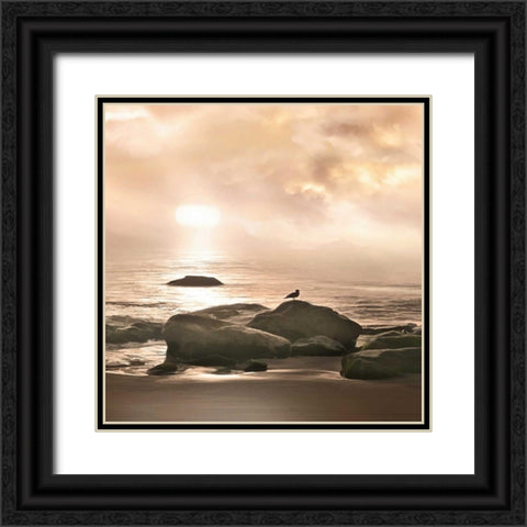 Malibu Sunset Black Ornate Wood Framed Art Print with Double Matting by Calascibetta, Mike