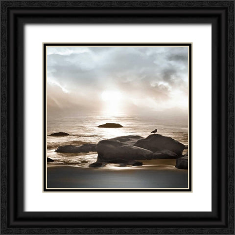 Blue Sea Black Ornate Wood Framed Art Print with Double Matting by Calascibetta, Mike