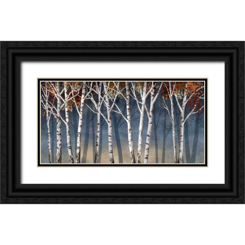 Birch Shadows Black Ornate Wood Framed Art Print with Double Matting by Knutsen, Conrad