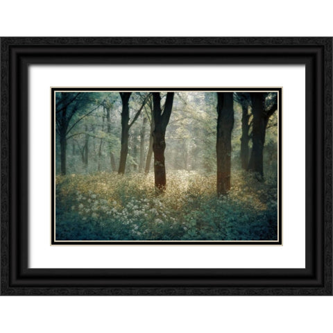 Foret De Black Ornate Wood Framed Art Print with Double Matting by Van de Goor, Lars