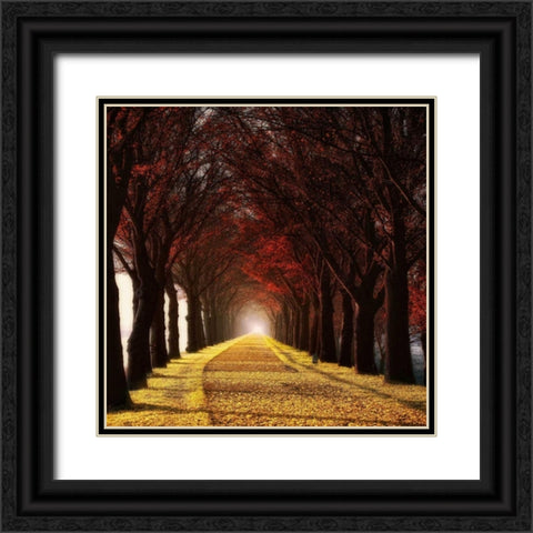 Wonder Curve Black Ornate Wood Framed Art Print with Double Matting by Van de Goor, Lars