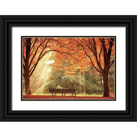 Sun Never Set Black Ornate Wood Framed Art Print with Double Matting by Van de Goor, Lars