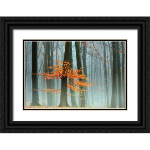 Last Leaves Black Ornate Wood Framed Art Print with Double Matting by Van de Goor, Lars