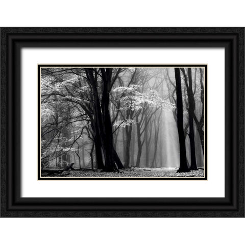 Winter is Coming Black Ornate Wood Framed Art Print with Double Matting by Van de Goor, Lars