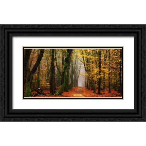 Shimmer Black Ornate Wood Framed Art Print with Double Matting by Van de Goor, Lars