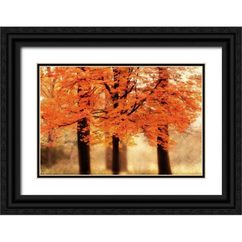 Three Trees Black Ornate Wood Framed Art Print with Double Matting by Weisz, Irene