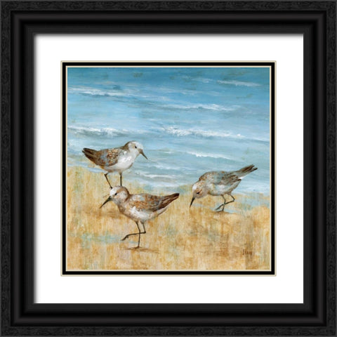 Sandpipers II Black Ornate Wood Framed Art Print with Double Matting by Nan