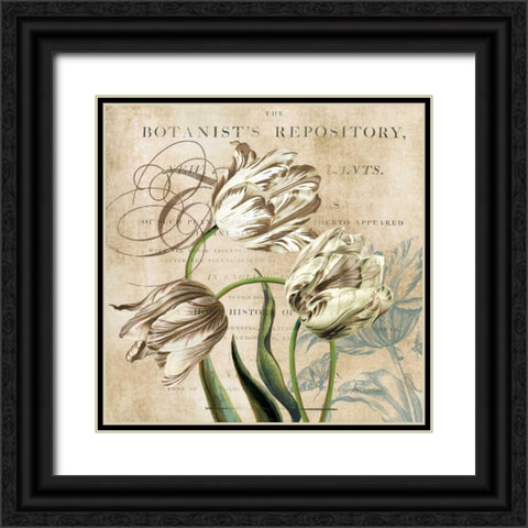 Tulip Botanical Black Ornate Wood Framed Art Print with Double Matting by Robinson, Carol