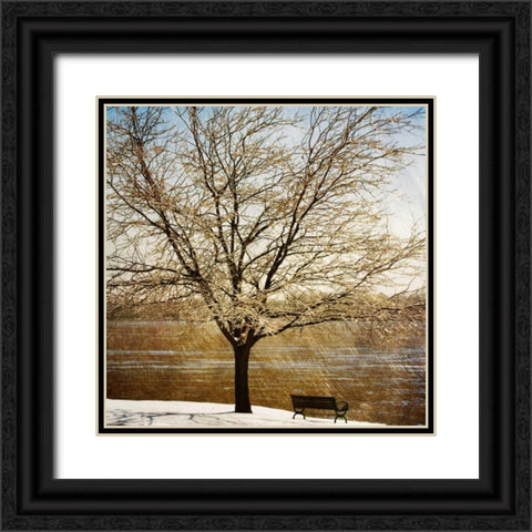Lonely Tree in the Sun Black Ornate Wood Framed Art Print with Double Matting by Craven, Katrina