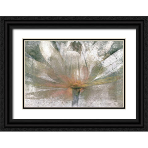 Lily Light Black Ornate Wood Framed Art Print with Double Matting by Calascibetta, Mike