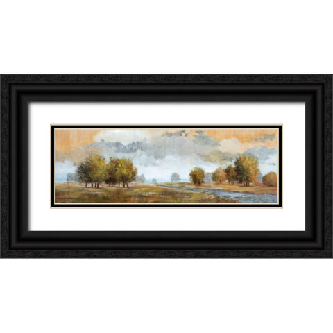 Meadow Vista I Black Ornate Wood Framed Art Print with Double Matting by Nan