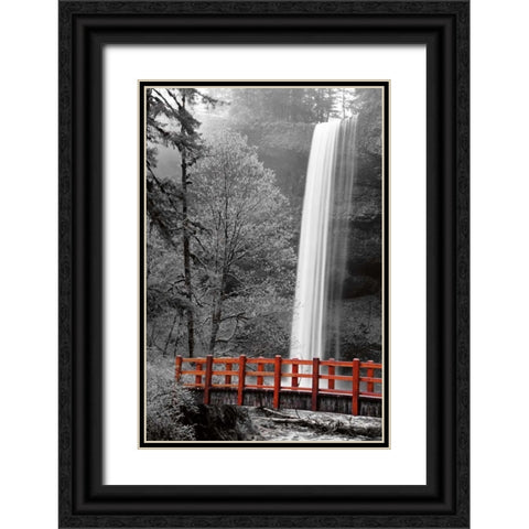 Silver Falls Black Ornate Wood Framed Art Print with Double Matting by Delimont, Danita
