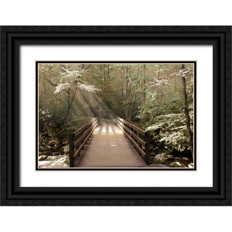 Footbridge Black Ornate Wood Framed Art Print with Double Matting by Nan