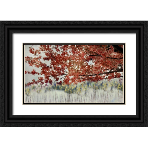 Sakura in the Lake II Black Ornate Wood Framed Art Print with Double Matting by Weisz, Irene