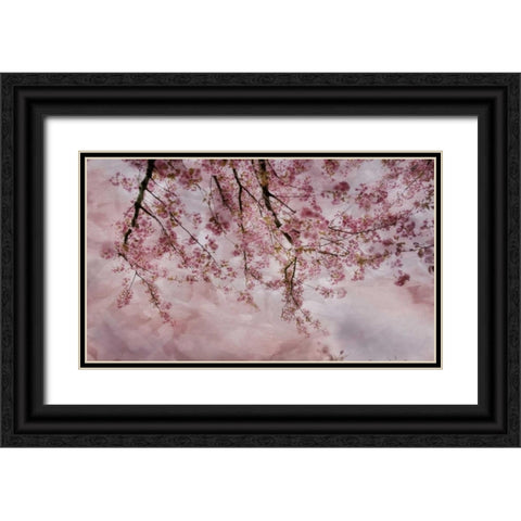 Joy of Spring Black Ornate Wood Framed Art Print with Double Matting by Weisz, Irene