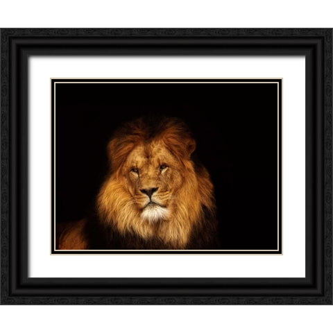 Look My Way Black Ornate Wood Framed Art Print with Double Matting by Van de Goor, Lars