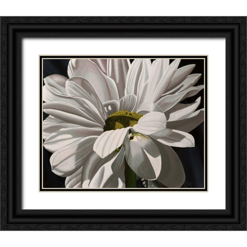 Black Tie Daisy Black Ornate Wood Framed Art Print with Double Matting by Macoce, Ellen