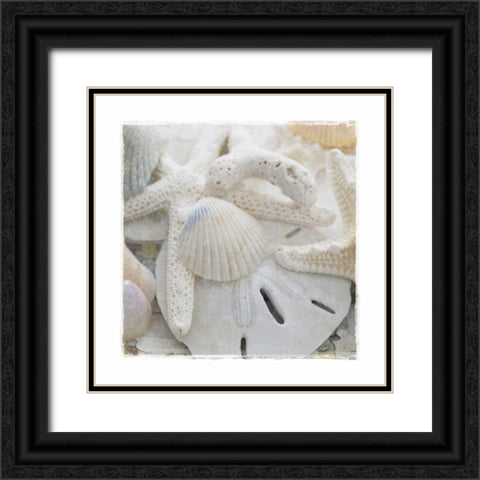 Sanibel III Black Ornate Wood Framed Art Print with Double Matting by Jackson, Susan