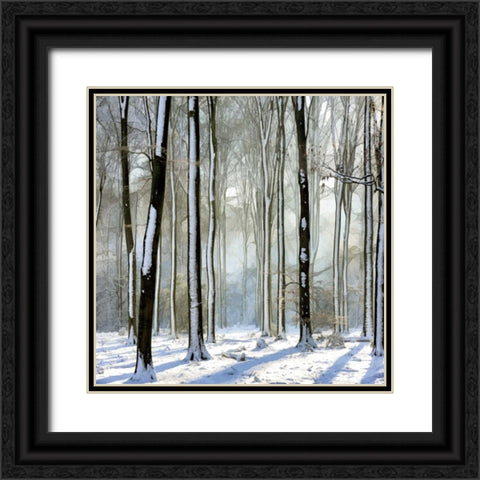 Enchanted Forest Black Ornate Wood Framed Art Print with Double Matting by Van de Goor, Lars