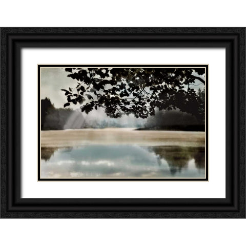 Morning Bliss II Black Ornate Wood Framed Art Print with Double Matting by Weisz, Irene