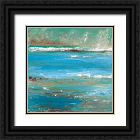 Tidal Pool I Black Ornate Wood Framed Art Print with Double Matting by Tava Studios