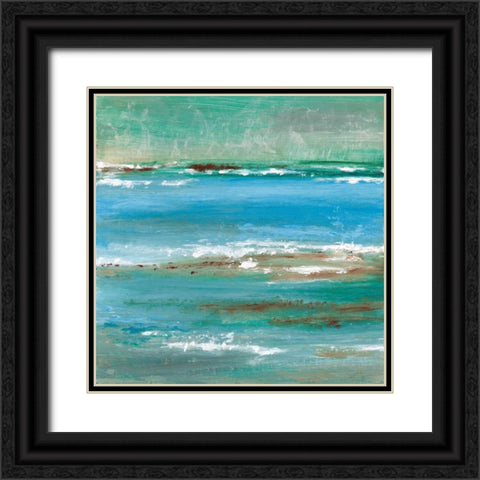 Tidal Pool II Black Ornate Wood Framed Art Print with Double Matting by Tava Studios