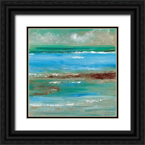 Tidal Pool III Black Ornate Wood Framed Art Print with Double Matting by Tava Studios