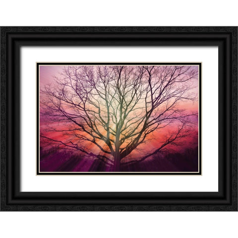 Sunburst Sentinel Black Ornate Wood Framed Art Print with Double Matting by Weisz, Irene