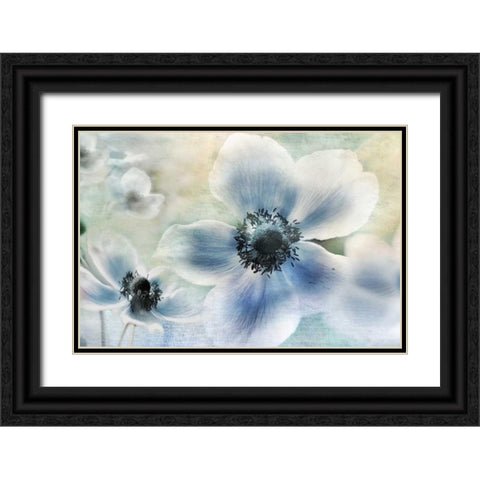 Anemone Cheer Black Ornate Wood Framed Art Print with Double Matting by Weisz, Irene