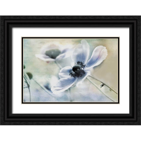 Anemone Whisper Black Ornate Wood Framed Art Print with Double Matting by Weisz, Irene