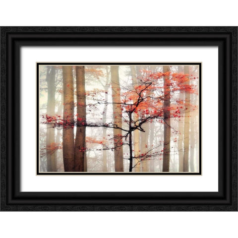 Orange Awakening Black Ornate Wood Framed Art Print with Double Matting by Weisz, Irene