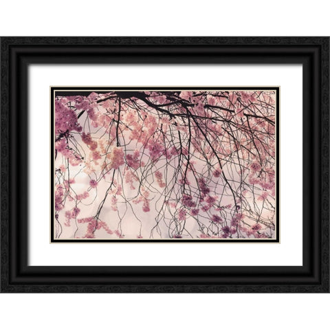 Spring Song Black Ornate Wood Framed Art Print with Double Matting by Weisz, Irene