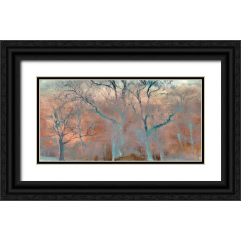 Mirror of Life Black Ornate Wood Framed Art Print with Double Matting by Weisz, Irene