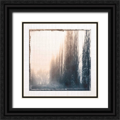 Foggy Light IV Black Ornate Wood Framed Art Print with Double Matting by Robinson, Carol